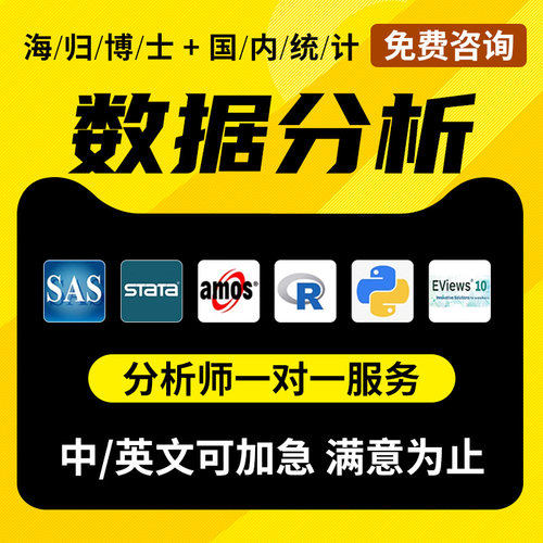 spss数据分析服务stata实证python统计处理amos问卷meta医学R代做