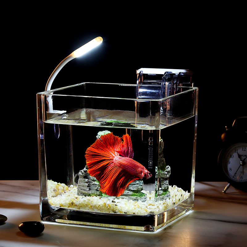 桌面创意水晶玻璃迷你方形小鱼缸
