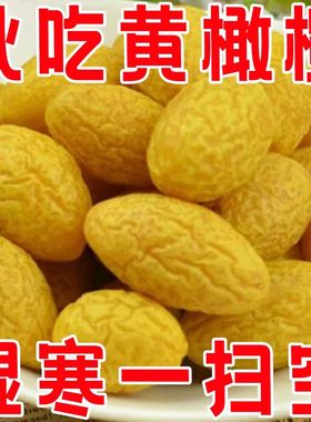 九制黄橄榄甘草橄榄果脯蜜饯广东特产零食即食果干酸甜