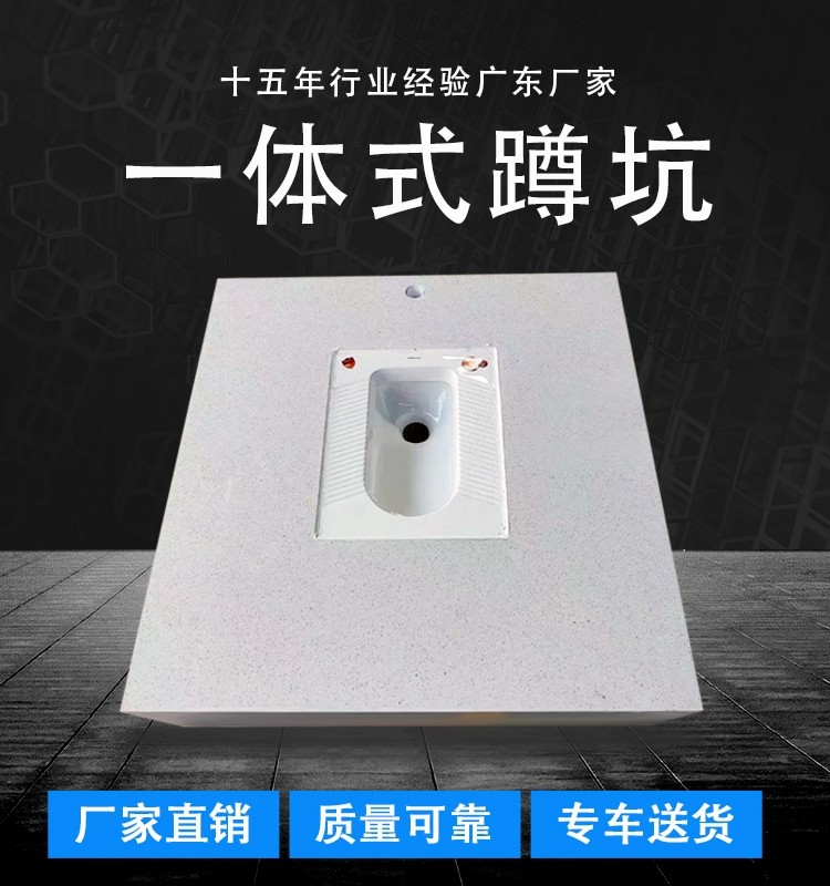 广东广州陶瓷户外可移动蹲坑蹲厕临时蹲便器简易塑料黑色化粪池