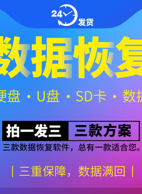 DiskGenius专业版媲美的SD视频恢复软件U盘修复工具TF卡数据恢复