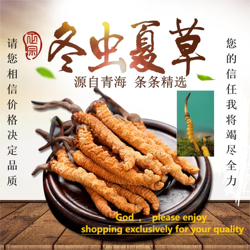新草头期草非西藏那曲青海玉树冬虫夏草 正品精品干虫草送礼盒装