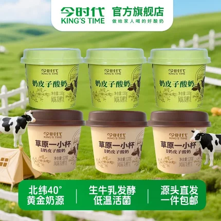 今时代奶皮子酸奶内蒙古乌兰察布酸牛奶直发低温