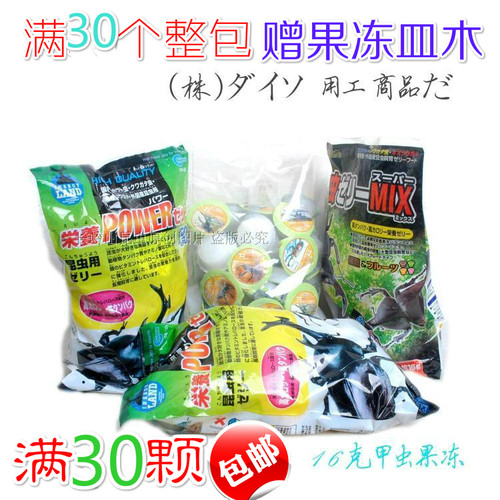 昆虫宠物果冻饲料蚂蚁延长寿命