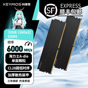32G 6000 C28 科摩思 die内存 赤霄白帝 海力士A 套条 承影机甲