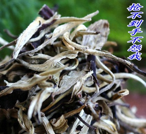 2021云南茶叶普洱茶生茶 月光白 月光美人  散茶 500克特价包邮