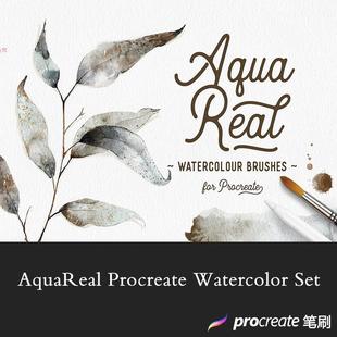 Procreate水彩笔刷8款基础混合画笔29款印章15个色卡赠视频brushe