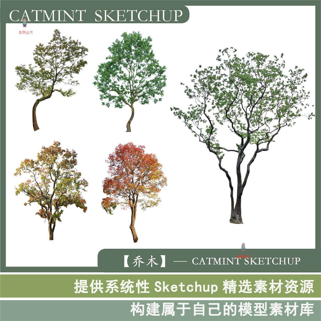 【乌桕】造型主景大树 落叶色叶树-乔木-园林景观植物素材-su模型