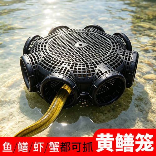 【零距离】户外抓鱼神器捕鱼笼