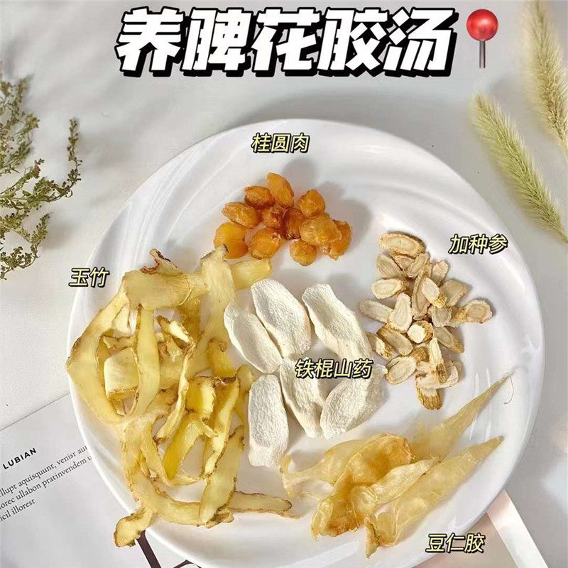 养脾花胶汤豆仁胶西洋参滋补炖鸡温补汤鸽子老母鸡桂圆气血汤食疗
