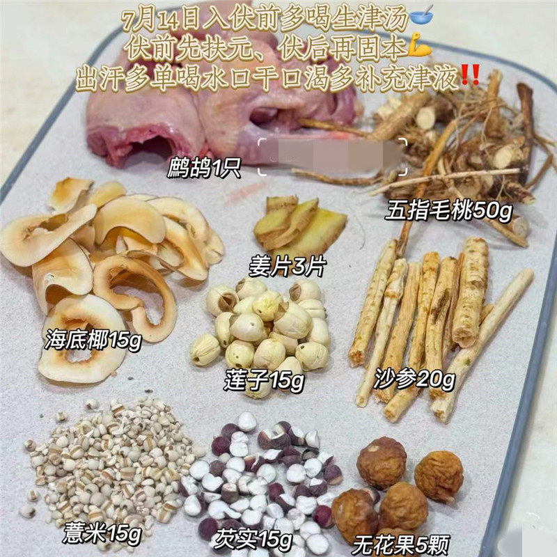 五指毛桃沙参健脾祛湿汤料包三伏天寒湿易上火熬夜多出汗多口干渴
