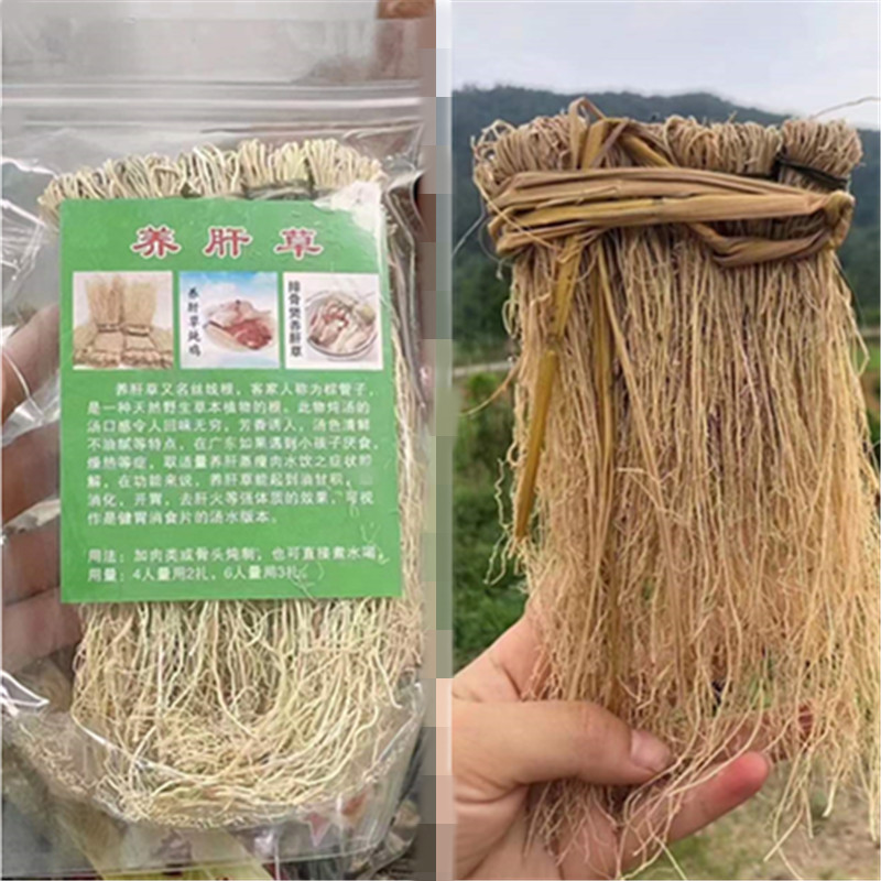 养肝草煲汤龙须草护肝