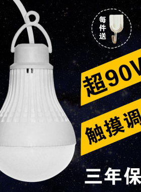 高亮度USB灯泡充电宝节能灯随身地滩停电宿舍家用LED移动电源急应