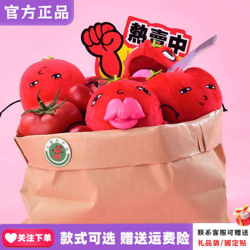 【正版现货】PLZDOT爆浆小茄五星好柿民毛绒盲盒周边搞怪抽象礼物