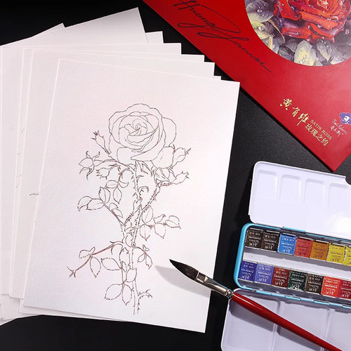 黄有维老师玫瑰水彩线稿