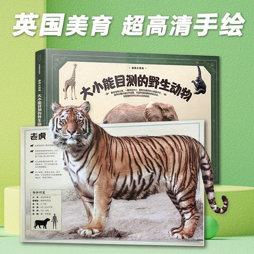 纸贵满堂0-6岁大小能目测的动物