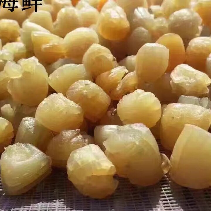 东山岛海鲜小重海鲜天然野生晾晒干贝 炖汤补品送礼佳品250g包邮