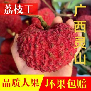 广西巨大荔枝王灵山特产当季纯甜老树孕妇新鲜水果产地现摘冷链发