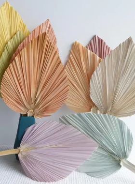 WN永生蒲扇云南创意批发干花室内白色轻奢七夕花束礼物