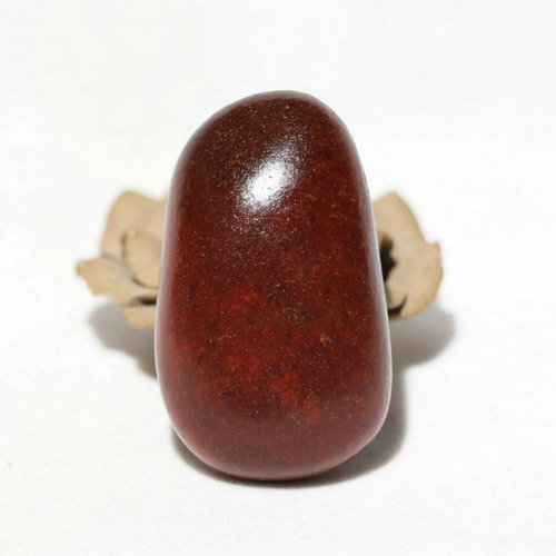 油润66.51克红沁红玉把件摆件手玩料和田玉籽料原石原料独籽