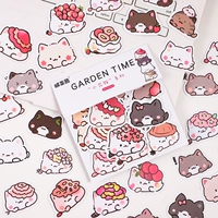 Xiaohua cat 65 кусочков около 3,5 см сингл сингл