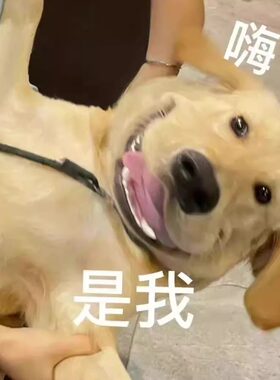 仅限孤品满20元包邮！孤品又来啦，有你喜欢的就下手吧~~~149