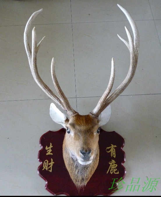 吉林梅花鹿鹿头标本 鹿头标本 鹿头挂  梅花鹿头 标本