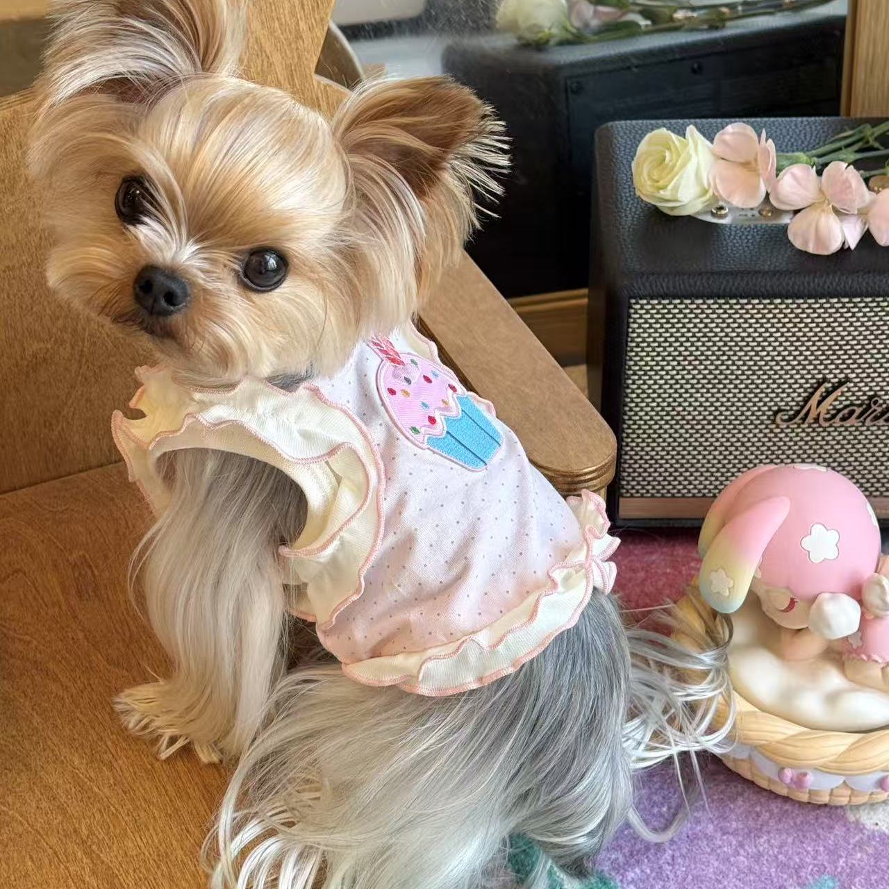 超小体宠物衣服夏季薄款小型犬约克夏泰迪狗背心韩版猫咪衣服