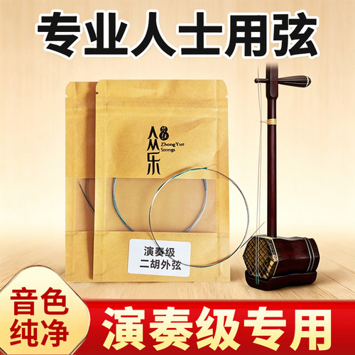 二胡演奏级专用弦学院老师推荐