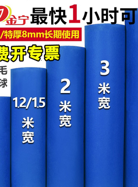 金宁蓝色红地毯大面积舞台展会加厚防滑迎宾庆典楼梯满铺长期婚庆