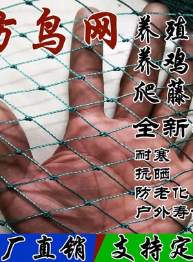 尼龙线葡萄大棚樱桃园果树防鸟网
