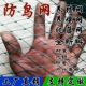户外尼龙线防鸟网养殖天网葡萄大棚园樱桃园果树防鸟用网鱼塘顶网