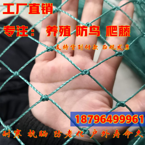 养殖网尼龙网塑料网防护网爬藤网