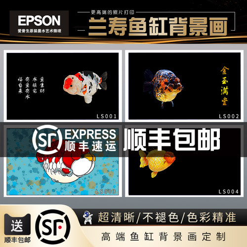 金鱼静电贴鱼缸贴纸兰寿高清定制