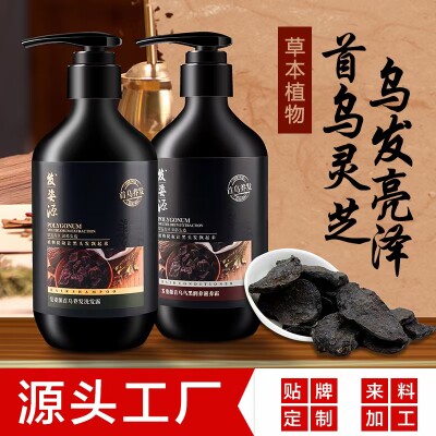发姿源首乌洗发露养发乌黑滋润营养柔顺清爽亮泽改善花白干枯头发