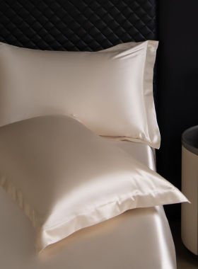 真丝枕套一对装纯色双面桑蚕丝绸冰丝成人美容枕头套48X74cm枕巾