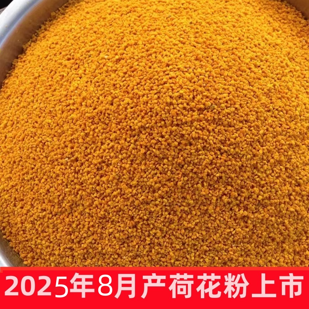 2025年天然荷花花粉蜂花粉天然自产无添加纯正荷花粉非烘干500克
