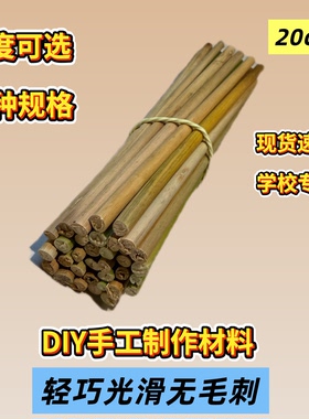 天然手工DIY原木树枝幼儿园环创材料全套木桩不规则木棍摆件装饰