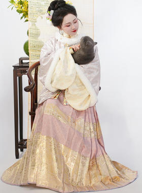 檀绾-钱串子天禄貔貅织金缎面明制马面裙平价爆闪通勤女汉服四季