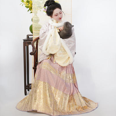 檀绾-钱串子天禄貔貅织金缎面明制马面裙平价爆闪通勤女汉服四季