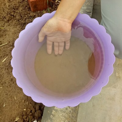 荷塘泥荷花睡莲碗莲金铜钱草泥土专用水生植物鱼塘营养河土细淤泥