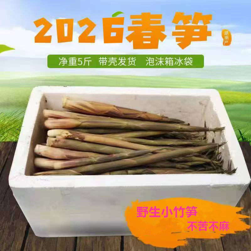 2026新鲜湖南小笋春笋野笋带壳5斤3斤装精选现挖山竹笋绿皮笋甜笋