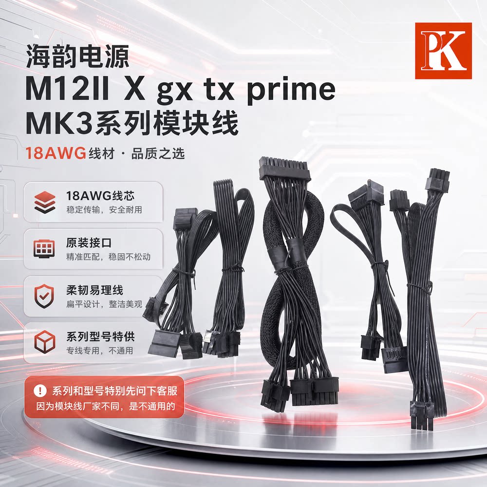 海韵电源模组线FOCUSPRIME图片