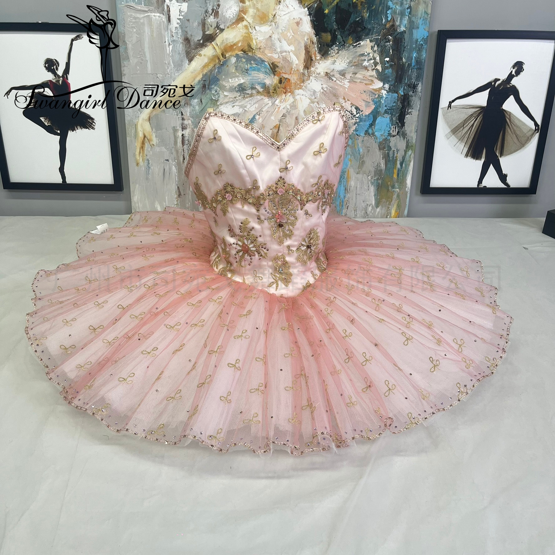 Repetto橱窗芭蕾TUTU裙女童仙女娃娃帕基塔变奏比赛演出服定制服