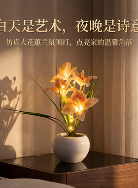 跨境蝴蝶兰花盆栽灯简约高雅家居装饰小夜灯摆件酒店婚庆氛围台灯