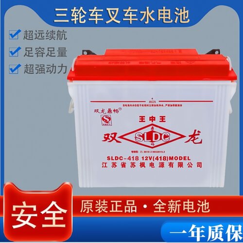 双龙水电池铅酸电三轮车四轮车工程车叉车12v水电瓶228型60斤70斤