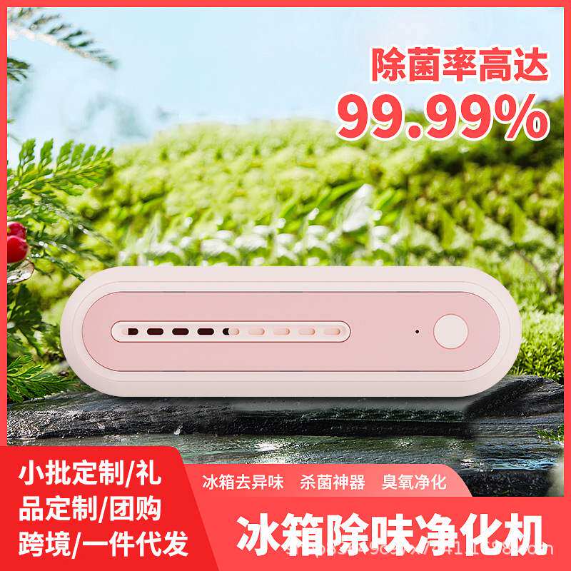 冰箱除味器家用鞋柜衣柜臭氧杀菌除臭保鲜去异味空气净化器