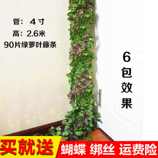 仿真藤条绿萝叶子假植物葡萄叶包下水管道装饰塑料花缠空调管遮挡