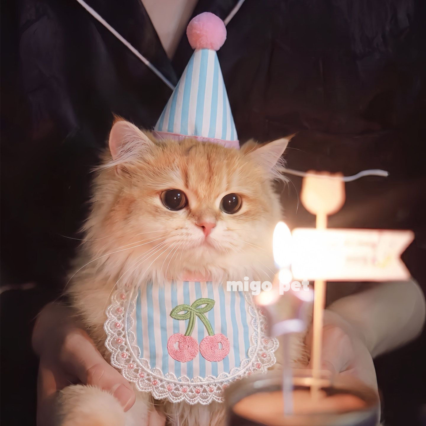 小清新宠物围脖猫咪项圈狗狗口水巾围巾猫咪生日礼物装扮拍照道具