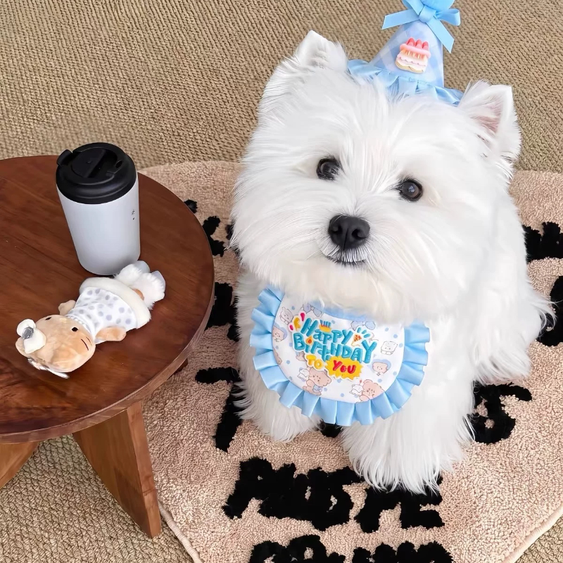 宠物生日蛋糕围兜帽子套装